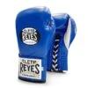 Cleto Reyes 'Safetec' Pro Fight Boxing Glove