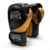Cleto Reyes High Precision Training Gloves
