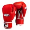 Fighting Sports Fury Professional Training Gloves - Velcro