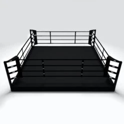 Geezers Training Boxing Ring