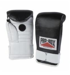 Probox Coachspar Boxing Gloves