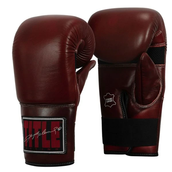 TITLE Boxing Sugar Ray Leonard Throwback Leather Bag Gloves - Image 2