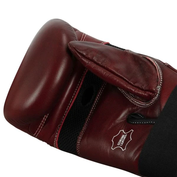 TITLE Boxing Sugar Ray Leonard Throwback Leather Bag Gloves - Image 4